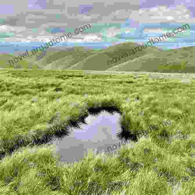 A Breathtaking Panorama Of The Northern Howgills, Showcasing Its Rolling Hills, Rugged Peaks, And Tranquil Valleys. Walks In The Northern Howgills Adjoining Fells: Parts 1 2 (Walks In Kirkby Stephen District)