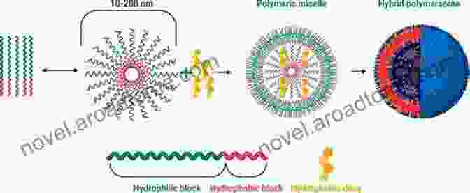 A Depiction Of Small Molecules Self Assembling Into A Micelle Structure Polymer Structure Characterization: From Nano To Macro Organization In Small Molecules And Polymers