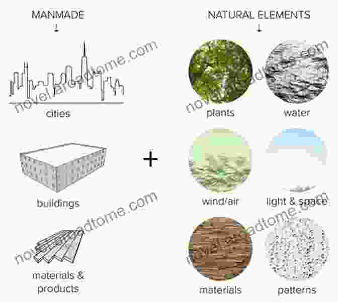 A Diagram Showcasing The Key Elements Of Biophilic Design, Including Natural Materials, Organic Shapes, And Patterns Inspired By Nature. Biophilia: You + Nature + Home Sally Coulthard