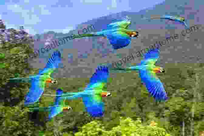 A Flock Of Yellow Headed Parrots Flying Over The Rainforest Yara And The Yellow Headed Parrots (Yara S Rainforest 3)