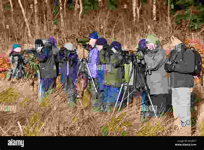 A Group Of Birdwatchers And Nature Photographers In The Field, Using Binoculars, Cameras, And Other Equipment To Observe And Photograph Birds And Other Wildlife. The Complete Guide To Bird Photography: Field Techniques For Birders And Nature Photographers