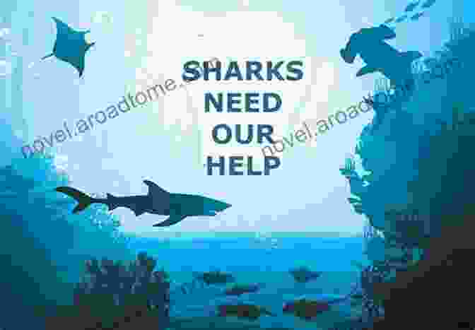 A Group Of People Working Together To Protect Sharks Let S Learn Sharks: Fact In Your Fingertips The Encyclopedia For Kids About Sharks