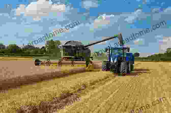 A Harvester Harvesting Wheat The Picture Of Farm Machinery: Activity For Seniors With Dementia Alzheimers Impaired Memory Aging Caregivers (Discreet Picture Book)