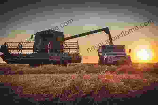 A Harvester Working In A Field At Sunset The Picture Of Farm Machinery: Activity For Seniors With Dementia Alzheimers Impaired Memory Aging Caregivers (Discreet Picture Book)