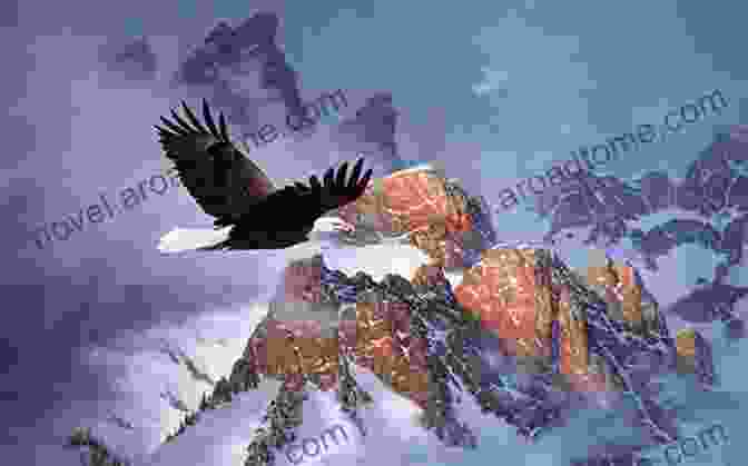 A Majestic Eagle Soaring Above The Mountain Peaks Beautiful Birds Picture Book: A Gift For Alzheimer S Patients And Seniors With Dementia (Picture And Dementia Activities For Seniors 1)