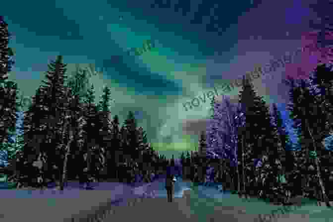 A Man And Woman Stand In A Snowy Forest, Looking Up At The Aurora Borealis. The Blizzard (Eutopian Destiny 5)