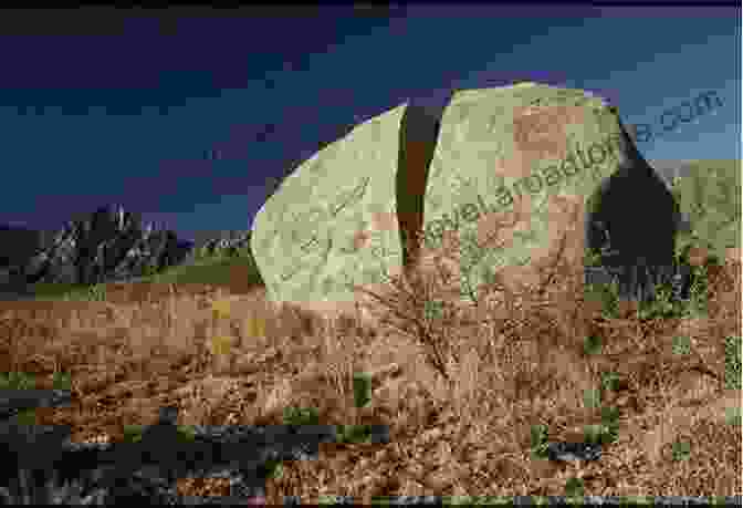 A Photograph Of A Weathered Rock, Showing Its Craggy Surface And Cracks The Rock Cycle (Science Readers: Content And Literacy)