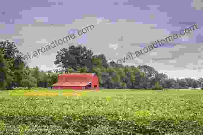 A Picturesque Scene Of Chestnut Hill Farm, With Lush Meadows And A Charming Farmhouse In The Distance The Six At Chestnut Hill Farm