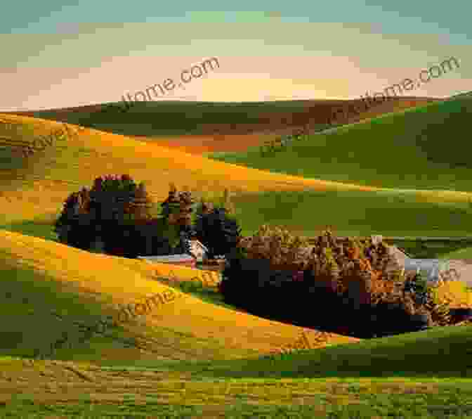 A Scenic View Of The National Road, Surrounded By Rolling Hills And Golden Fields. The National Road/Route 40: The Cumberland Pike