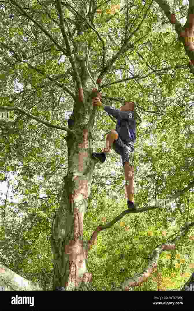 A Tree Sacrificing Its Branches For A Boy 16 Best Bedtime Stories For Your Kiddos