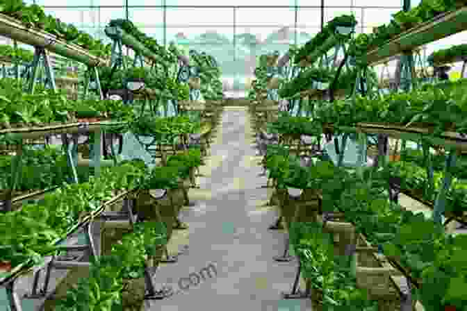 A Vertical Farming System The Picture Of Farm Machinery: Activity For Seniors With Dementia Alzheimers Impaired Memory Aging Caregivers (Discreet Picture Book)