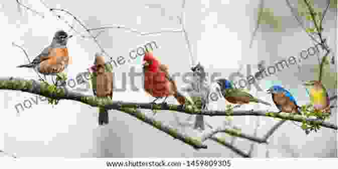 A Vibrant Group Of Songbirds Perched On A Branch Beautiful Birds Picture Book: A Gift For Alzheimer S Patients And Seniors With Dementia (Picture And Dementia Activities For Seniors 1)