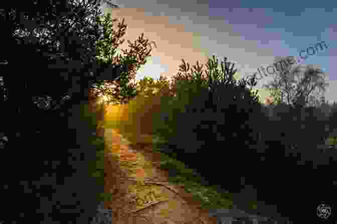 A Winding Path Leading Towards A Majestic Sunrise, Representing The Transformative Journey Of Spiritual Growth The One Jesus Loves: Grace Is Unconditionally Given Intimacy Must Be Relentlessly Pursued