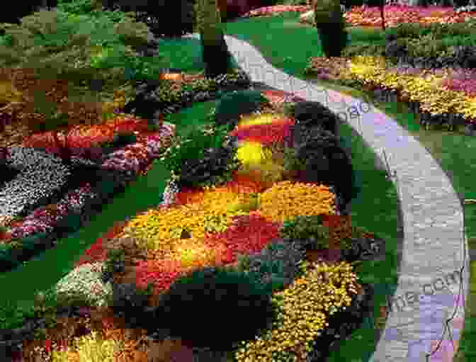 Aerial View Of A Backyard Garden With Colorful Flowers And Walkways Growing A Green Thumb