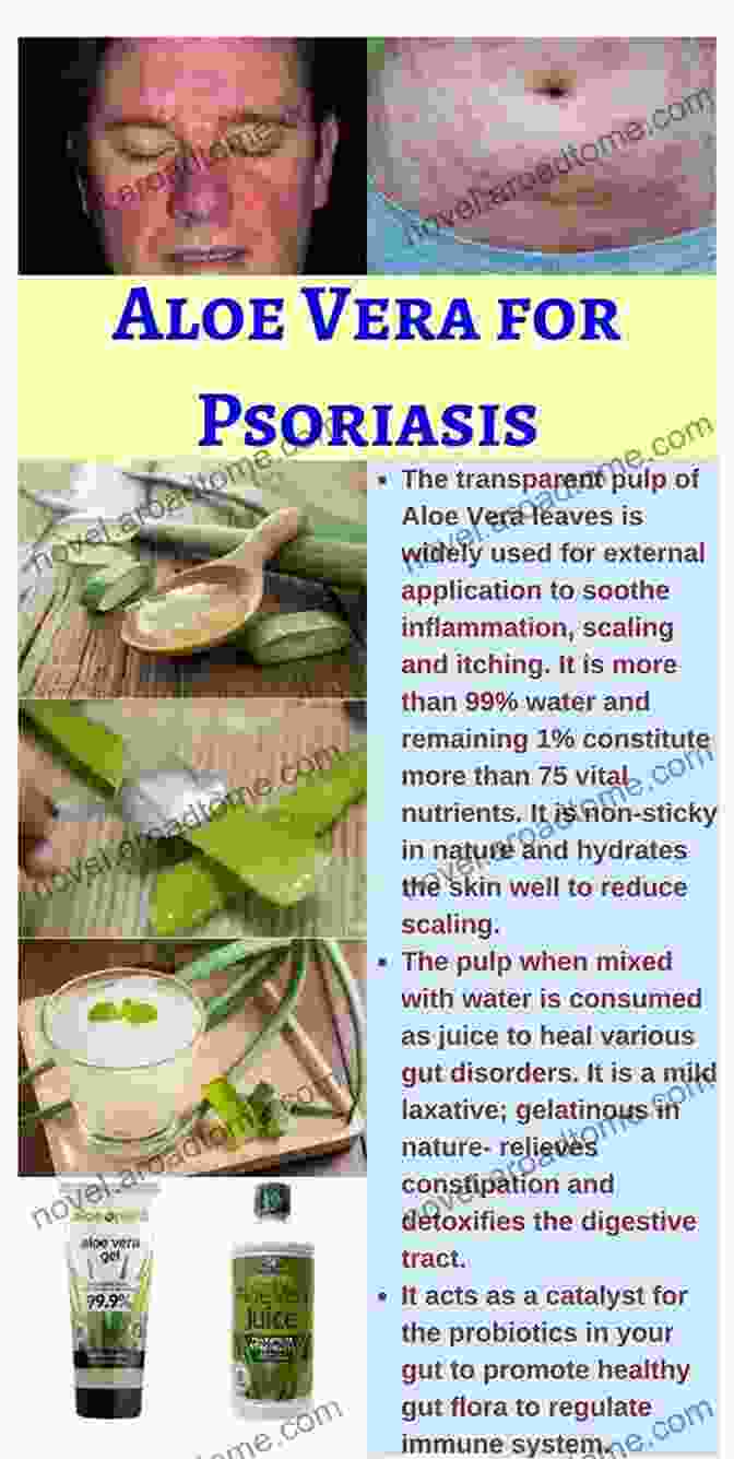 Aloe Vera For Skin Lesions How To Kill Genital Warts And Skin Lesions For Under $20