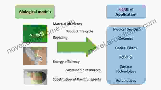 An Image Showcasing Biomimetic Applications Inspired By Nature's Supramolecular Organization Polymer Structure Characterization: From Nano To Macro Organization In Small Molecules And Polymers