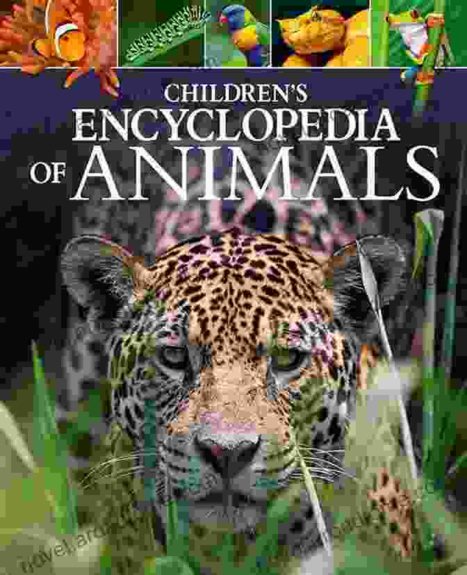 Animal Encyclopedia For Kids Book Cover Featuring A Vibrant Illustration Of Diverse Animals. Animal Encyclopedia For Kids: Zoology For Kids 8 12