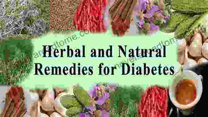 Assortment Of Herbs Used For Diabetes Management An Herbalist S Guide To Reversing Diabetes: Navigating Conflicting Information About Diabetes Type 2 And Healthy Eating