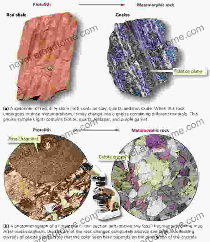 Book Cover Of 'The Nature And Models Of Metamorphism' By Dimitri A. Karyakin The Nature And Models Of Metamorphism (Springer Geology)