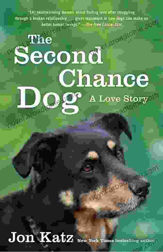 Book Cover Of The Second Chance Dog Love Story The Second Chance Dog: A Love Story