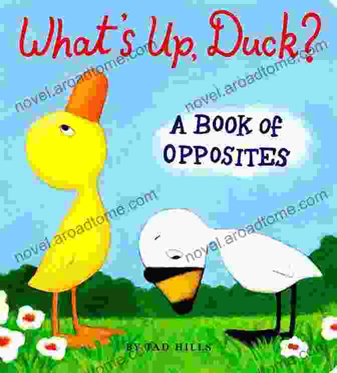 Buddy The Bufflehead What S Up Duck?: A Of Opposites (Duck Goose)