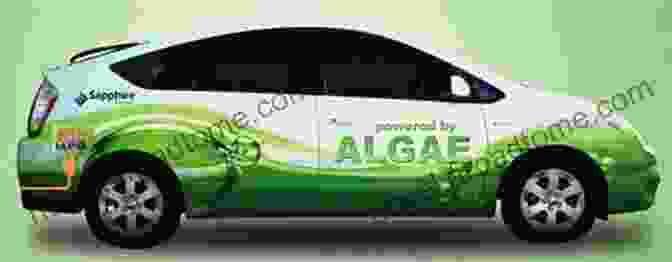 Car Running On Algal Biodiesel Algal Biofuel: Sustainable Solution Wilhelm Burger