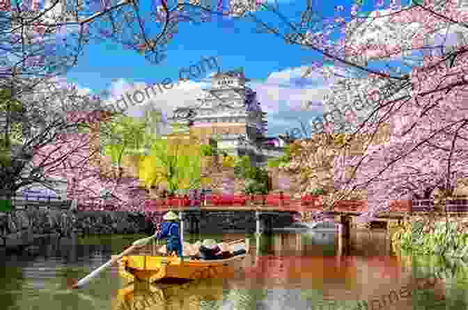 Cherry Blossoms And The Dojima River, Osaka, Japan Photo Album Cherry Blossoms Blooming At Dojima Bridge 5