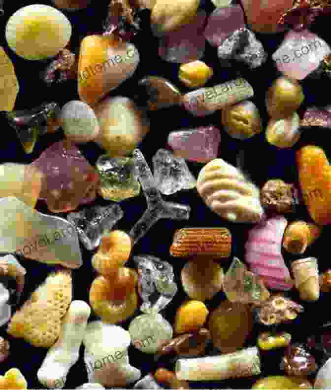 Close Up Image Revealing The Remarkable Diversity Of Sand Grains Under A Microscope, Showcasing Their Varying Colors, Shapes, And Sizes. Beach Science: About Sand Water And Waves (Science On The Beach 1)