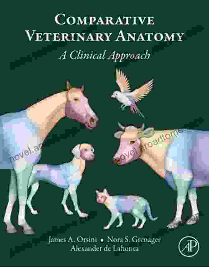 Comparative Anatomy Of Domestic Animals Anatomy And Physiology Of Domestic Animals