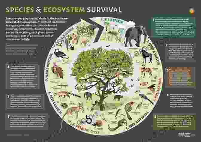 Crystals In Geology Crystals: Their Role In Nature And In Science