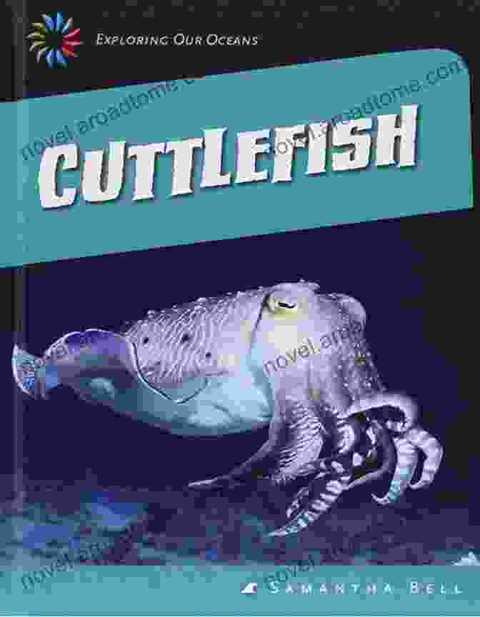 Cuttlefish: Exploring Our Oceans Book Cover Cuttlefish (21st Century Skills Library: Exploring Our Oceans)