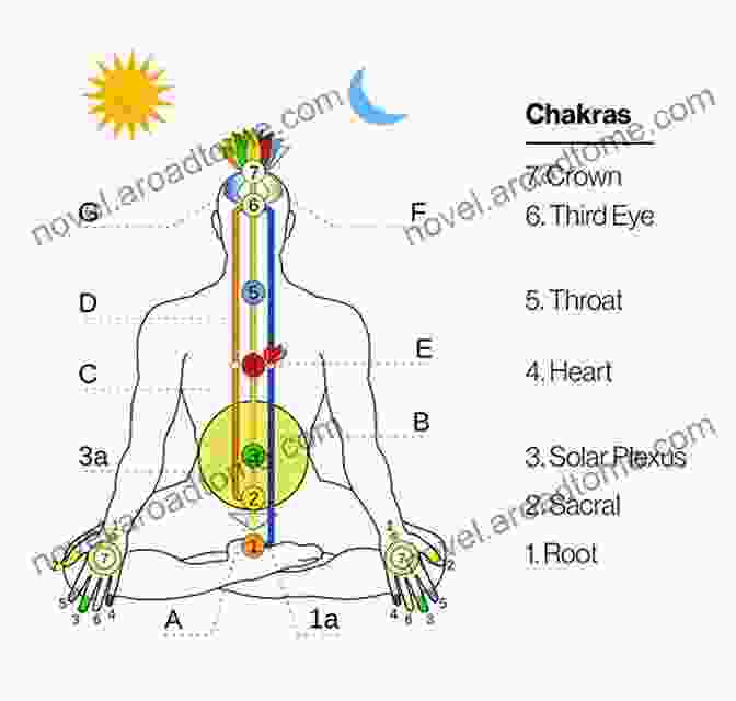 Diagram Of The Human Energy Systems, Including Chakras And Meridians Enlightened Bodies: Exploring Physical And Subtle Human Anatomy