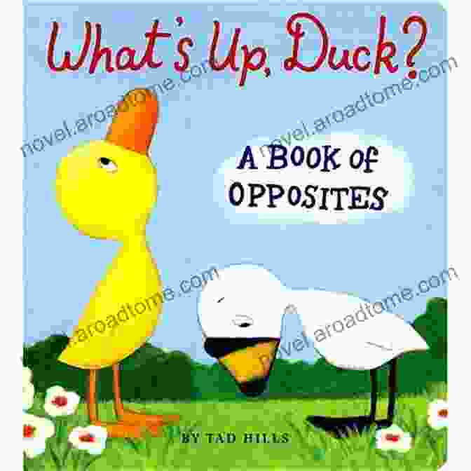 Grace The Swan What S Up Duck?: A Of Opposites (Duck Goose)