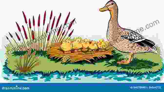 Illustration Of Nesting Ducks What S Up Duck?: A Of Opposites (Duck Goose)