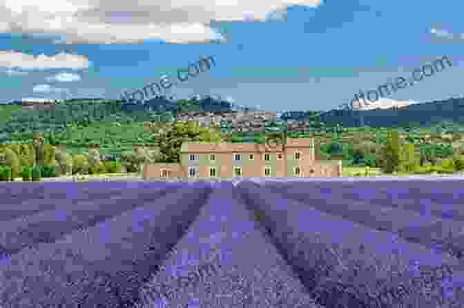 Lavender Fields In Provence, France Enjoying France Sarah Sofia Granborg