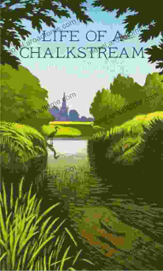 Life Of Chalkstream Book Cover, Featuring A Fly Fisherman Casting His Line Into A Serene River Life Of A Chalkstream Simon Cooper