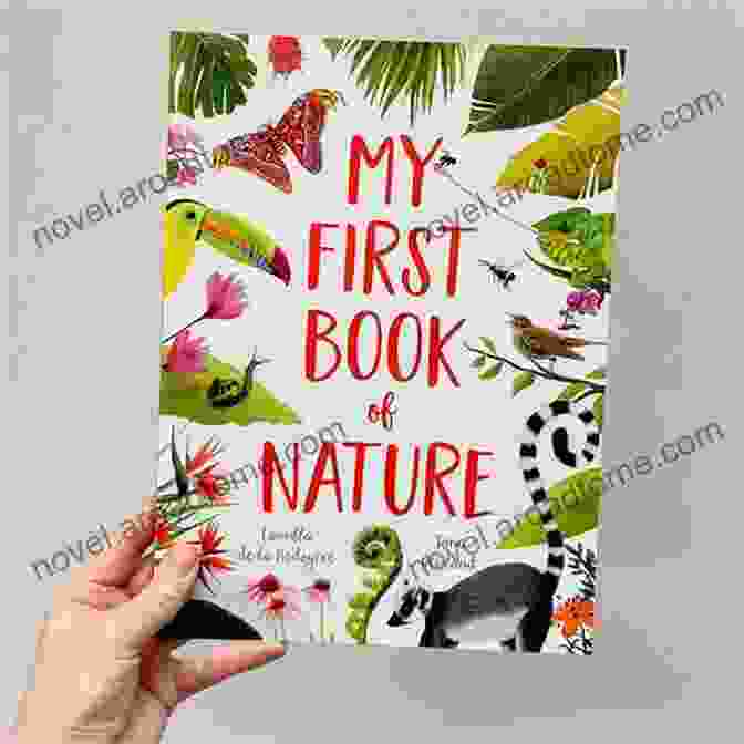 My First Book Of Nature Cover Image Bob Ross: My First Of Nature (My First Bob Ross Books)