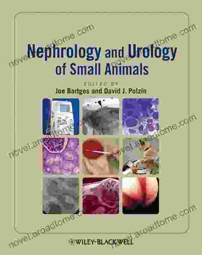 Nephrology And Urology Of Small Animals Book Cover Nephrology And Urology Of Small Animals