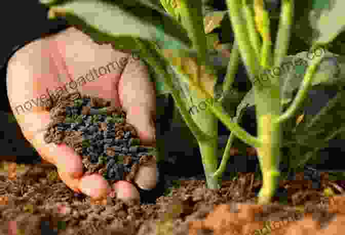 Organic Fertilizers For Plant Nutrition Trowel And Error: Over 700 Organic Remedies Shortcuts And Tips For The Gardener