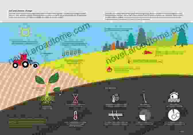 Researchers Studying The Impact Of Soil Biogeochemistry On Climate Change And Environmental Sustainability, Highlighting The Book's Relevance To Current Environmental Challenges. To The Biogeochemistry Of Soils