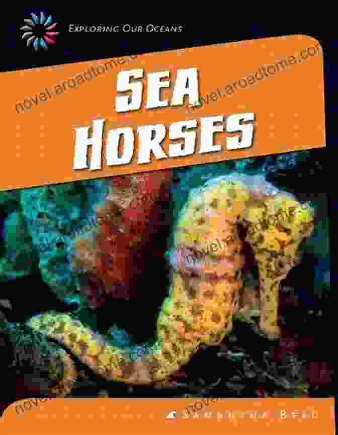 Sea Horses 21st Century Skills Library Book Cover Sea Horses (21st Century Skills Library: Exploring Our Oceans)