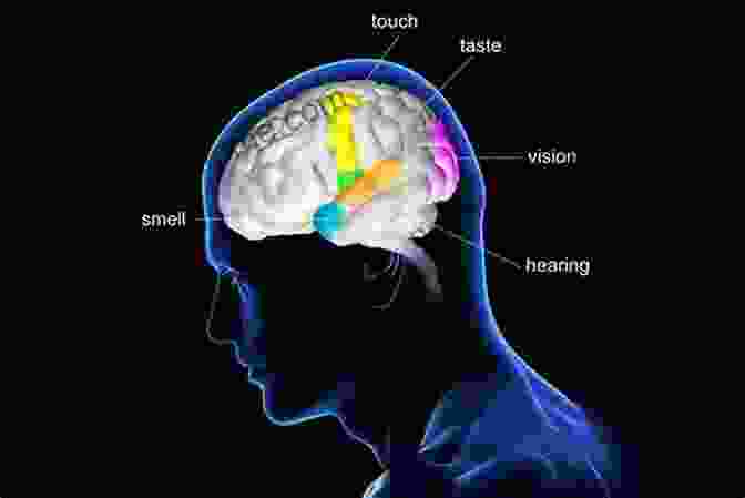 The Intricate Interplay Of The Mind And Brain, The Foundation Of Human Behaviour Psychology: The Science Of Mind And Behaviour 8th Edition