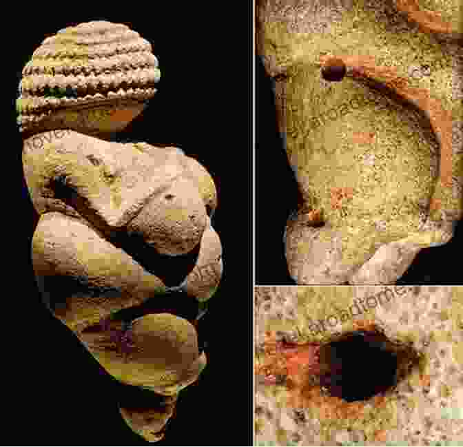 The Willendorf Venus, A Small Limestone Figurine Carved Approximately 25,000 Years Ago. Its Voluptuous Curves And Enigmatic Presence Have Captivated Scholars And Laypeople Alike. Willendorf S Legacy: The Sacred Body