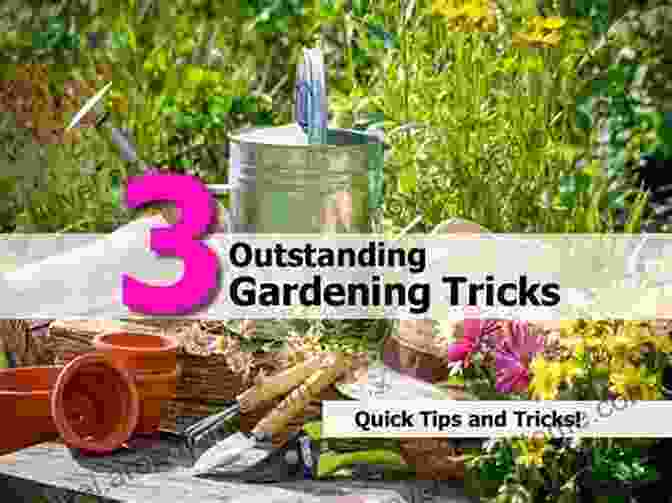 Tips And Tricks For Organic Gardening Trowel And Error: Over 700 Organic Remedies Shortcuts And Tips For The Gardener