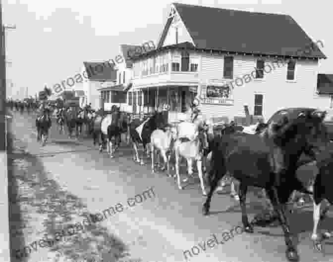 Vintage Photograph Of Chincoteague Island In The 1800s Chincoteague And Assateague Islands (Images Of America)