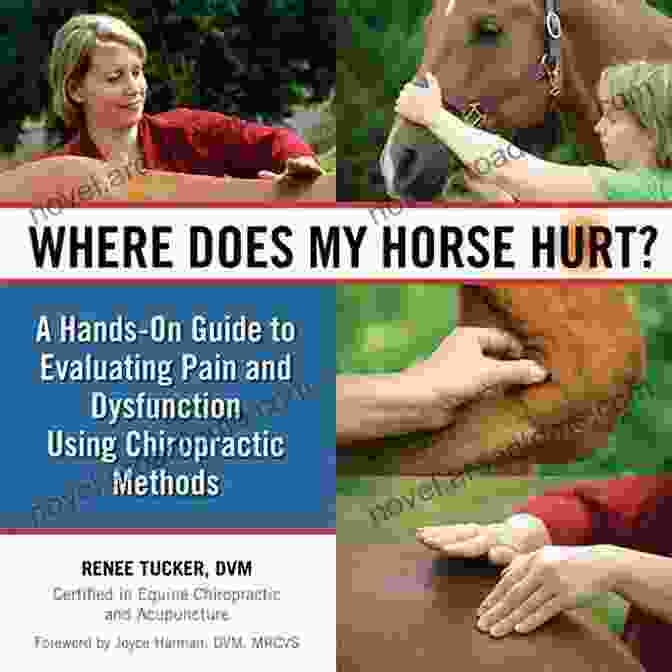 Where Does My Horse Hurt? Book Cover Where Does My Horse Hurt?: A Hands On Guide To Evaluating Pain And Dysfunction Using Chiropractic Methods