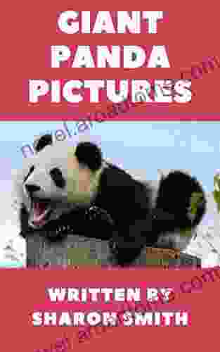 Giant Panda Pictures: Adorable And Cute Pandas To Cuddle And Love