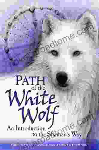 Path Of The White Wolf: An Introduction To The Shaman S Way