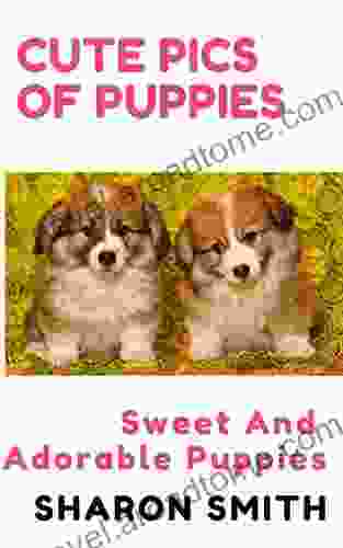 Cute Pics Of Puppies: Lovely And Sweet Puppies To Cuddle And Love (Vol 2)