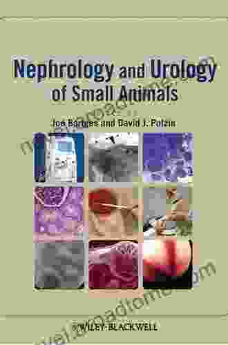 Nephrology and Urology of Small Animals